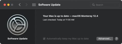 macOS Auto Update Settings Pane